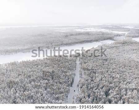 Winter forest with frosty trees, aerial view.