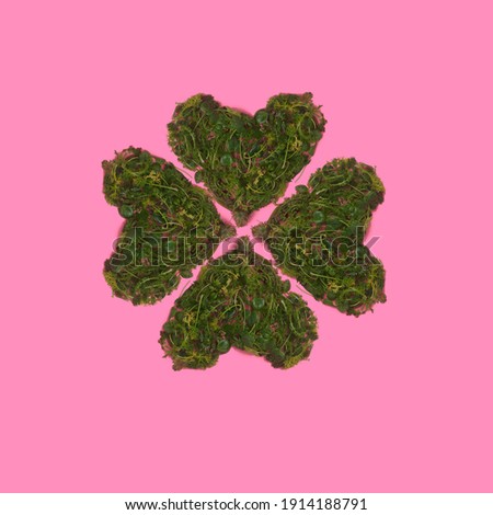Minimal lucky shamrock arranged from hearts formed of fresh green leaves from Irish coastal windswept grassy cliffs. A clover are against a pink background from flat lay.