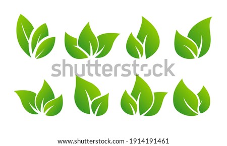Gradient vector leaves - Design set of leaf in different shapes to use in environmental or healthy logos.
