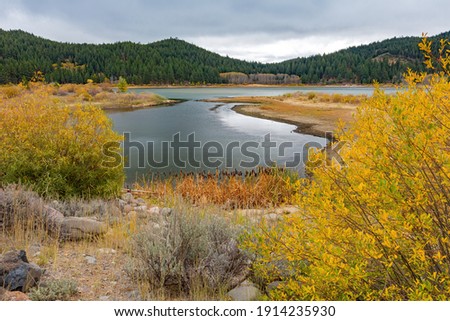 Sunny view with beautiful fall color along the Hope Valley in Lake Tahoe area at Nevada, USA