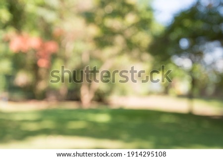 Nature city park garden blur bokeh background. Green nature for city life or save the earth concept.
