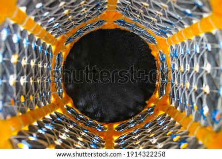 Art photography, a black circular object, surrounded by beautiful decorations