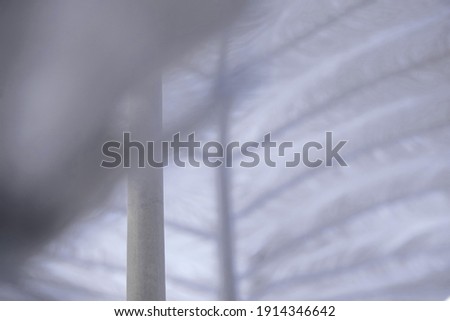 Close-up leaf, natural background, blurred background - photo. - image