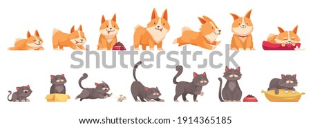 Pets growth stages set of isolated icons cartoon characters of cat and dog at different age vector illustration Royalty-Free Stock Photo #1914365185