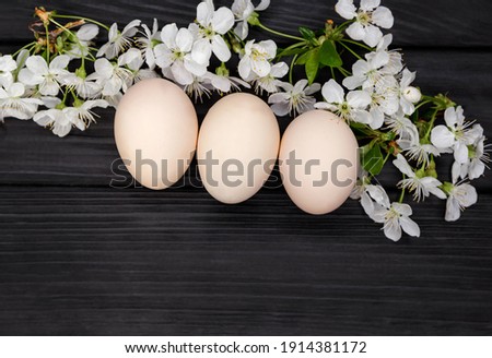 Uncolored easter eggs with cherry flowers branch on dark wooden background in soft light. Eggs natural with branches in blossom. Easter holiday. Copy space for text, top view, flat lay