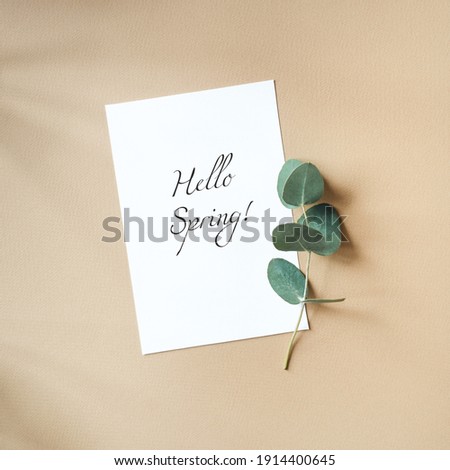 Text hello spring. Blank white business greeting card, fresh eucalyptus branches on beige table backgound. oft shadow. flat lay.