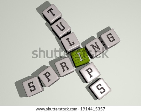SPRING TULIPS crossword by cubic dice letters, 3D illustration