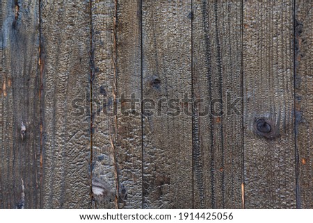 Burned wood texture background. High resolution image of charcoal burnt black wood wall. 