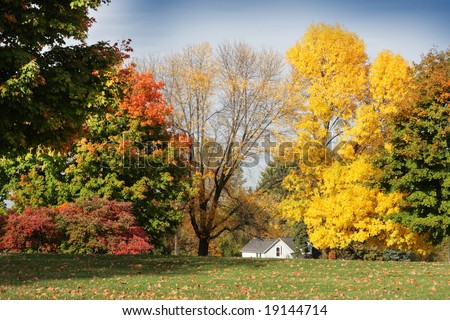 Small white house behind the colorful trees