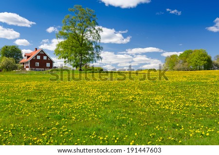 Swedish farm in May Royalty-Free Stock Photo #191447603