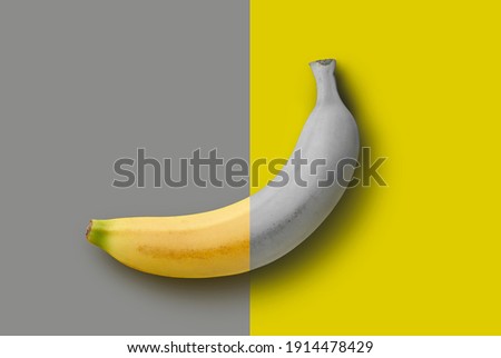 gray and yellow banana on a yellow and gray background. Minimalist abstract food image.  trend colors 2021