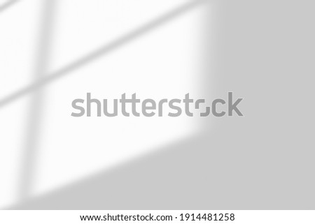 Window shadow drop on white wall background Royalty-Free Stock Photo #1914481258