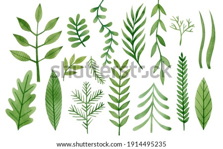 Watercolor set of green branches, leaves isolated on white background.
