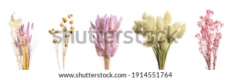 Set with beautiful decorative dry flowers on white background, banner design  Royalty-Free Stock Photo #1914551764