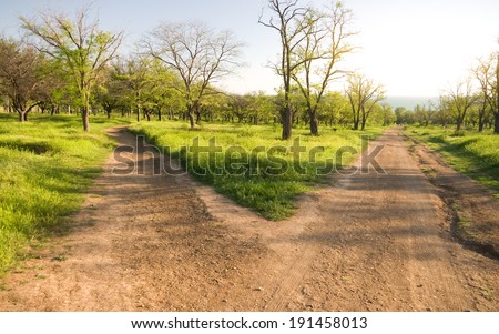 Small road to the park, forking divergently. Royalty-Free Stock Photo #191458013