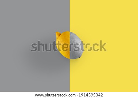 gray-yellow lemon on a yellow-gray background