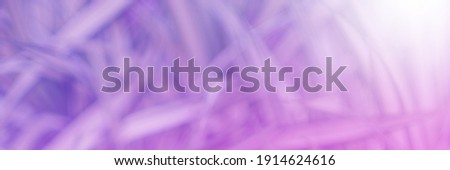 Purple Leaf background. Blurred leaves and circular bokeh. Abstract for design and wallpaper.