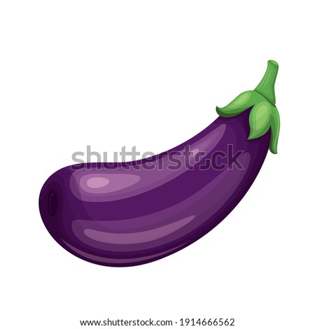 Vector eggplant. Vegetable illustration for farm market menu. Healthy food design Royalty-Free Stock Photo #1914666562