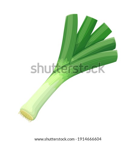 Vector leek vegetable illustration for farm market menu. Healthy food design Royalty-Free Stock Photo #1914666604