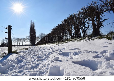 Snowy nature in the Netherlands