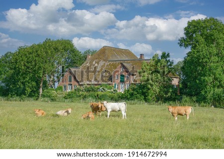 traditional Farmhouse called Haubarg,Eiderstedt Peninsula,North Frisia,North Sea,Germany Royalty-Free Stock Photo #1914672994