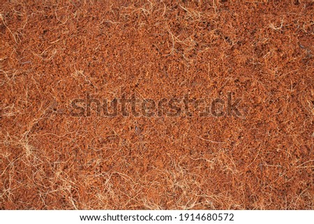 Close-up of damped coir pith powder. Royalty-Free Stock Photo #1914680572