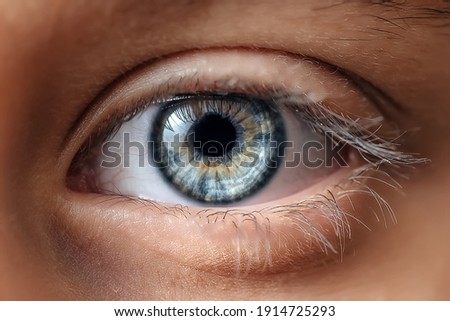 Blue Macro eye close up Royalty-Free Stock Photo #1914725293