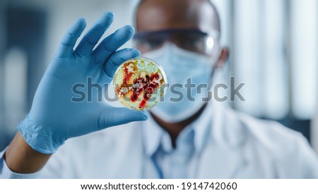 African American Male Scientist Wearing Face Mask and Glasses Looking a Petri Dish with Genetically Modified Sample Chemicals. Microbiologist Working in Modern Laboratory with Technological Equipment. Royalty-Free Stock Photo #1914742060