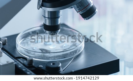 Close Up Shot of a Petri Dish with Genetically Modified Samples Under a Microscope. Microbiologist Doing Biology Research in Modern Laboratory. Royalty-Free Stock Photo #1914742129