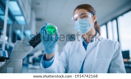 Beautiful Female Scientist Wearing Face Mask and Glasses Looking a Petri Dish with Genetically Modified Sample Chemicals. Microbiologist Working in Modern Laboratory with Technological Equipment. Royalty-Free Stock Photo #1914742168