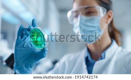 Beautiful Female Scientist Wearing Face Mask and Glasses Looking a Petri Dish with Genetically Modified Sample Chemicals. Microbiologist Working in Modern Laboratory with Technological Equipment. Royalty-Free Stock Photo #1914742174