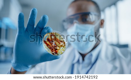 African American Male Scientist Wearing Face Mask and Glasses Looking at Petri Dish with Genetically Modified Sample Chemicals. Microbiologist Working in Modern Laboratory with Technological Equipment Royalty-Free Stock Photo #1914742192