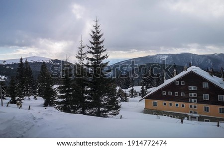 Winter view overlooking a lodge in the mountains surrounded by evergreens and snow on a cloudy day