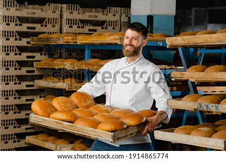 A baker holds a tray with fresh hot bread in his hands against the background of shelves with fresh bread in a bakery. Industrial bread production Royalty-Free Stock Photo #1914865774