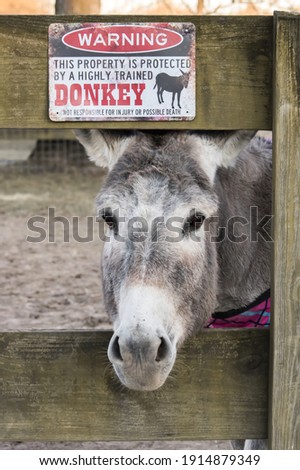 Funny guard donkey sign with donkey