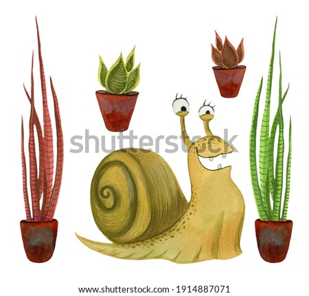 Snail and sansevieria in the pots illustration