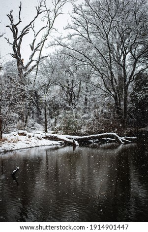 Snow falling on a lake with trees