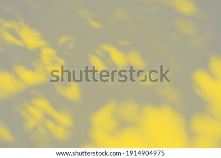 Hard shadows from leaves of plum tree on a concrete wall on a bright sunny day in trending colors of 2021. Abstract background shadows pattern in illuminating yellow and ultimate gray color.