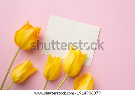 set of CARDs MOCKUP WITH tulipsFLOWERS with ribbon