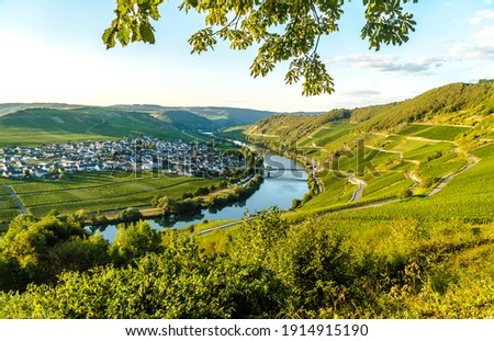 Beautiful moselle valley with view to Trittenheim in Germany Royalty-Free Stock Photo #1914915190