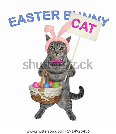 A gray cat in pink easter bunny ears is standing with a basket of easter eggs. White background. Isolated.