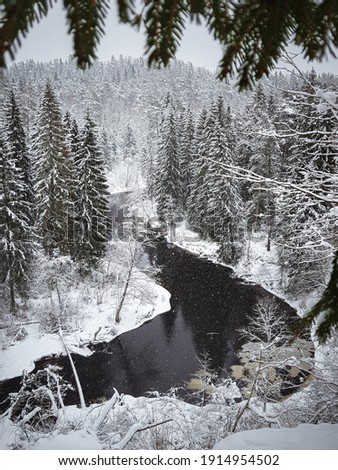 River flowing through forest in winter. Snowy pine trees along the dark waters. Drone footage of wilderness in Latvia. 