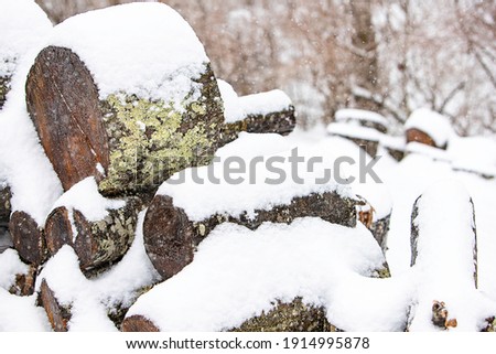 Wood pile in the snow Royalty-Free Stock Photo #1914995878