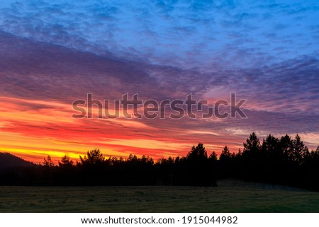 Vibrant sunset of meadow and forest at Sam McDonald Country Park. La Honda, San Mateo County, California, USA.