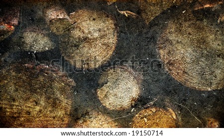 wooden grunge textures and backgrounds - more in my portfolio