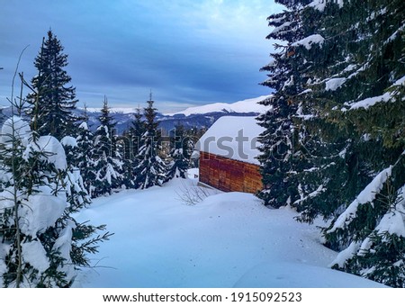 Small wooden lodge or cabana covered in snow, surrounded by icy evergreens overlooking the Carpathian Mountains, winter landscape in Ranca, Romania