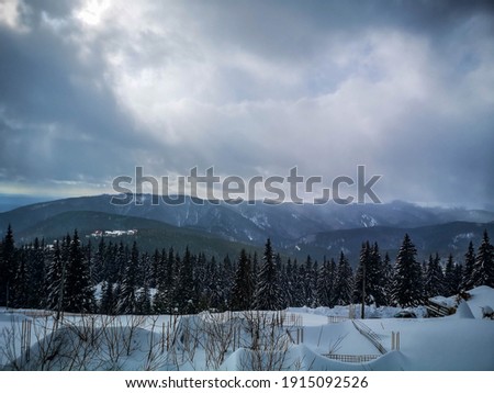 Winter view shot in Ranca resort, romania, overlooking the Carpathian mountains in a cloudy, cold day, with evergreens and wooden fences covered by thick snow