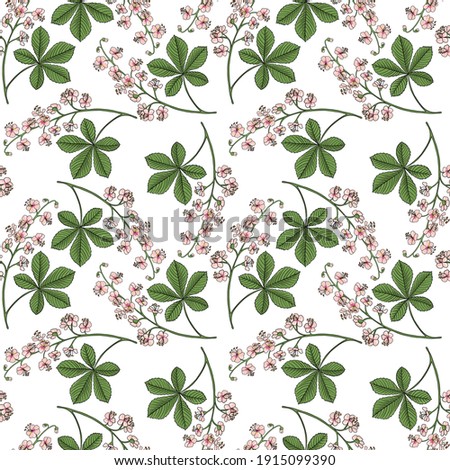 vector seamless pattern with drawing horse chestnut at white background, hand drawn illustration