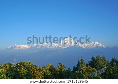 Landscape nature Mt. Dhaulagiri massif with sunrise on himalaya rang mountain in the morning seen from Poon Hill, Nepal - Blue Nature view travel and vacation hike and adventure outdoor  Royalty-Free Stock Photo #1915129645
