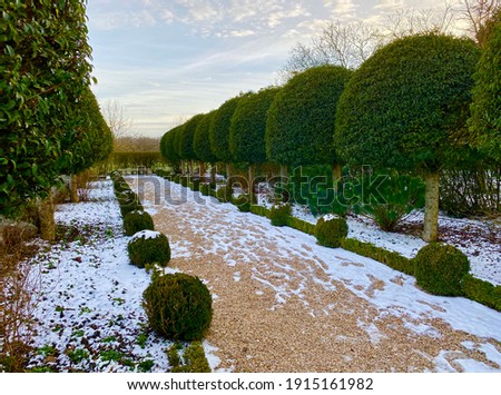 Beautiful garden with evergreen trees in winter